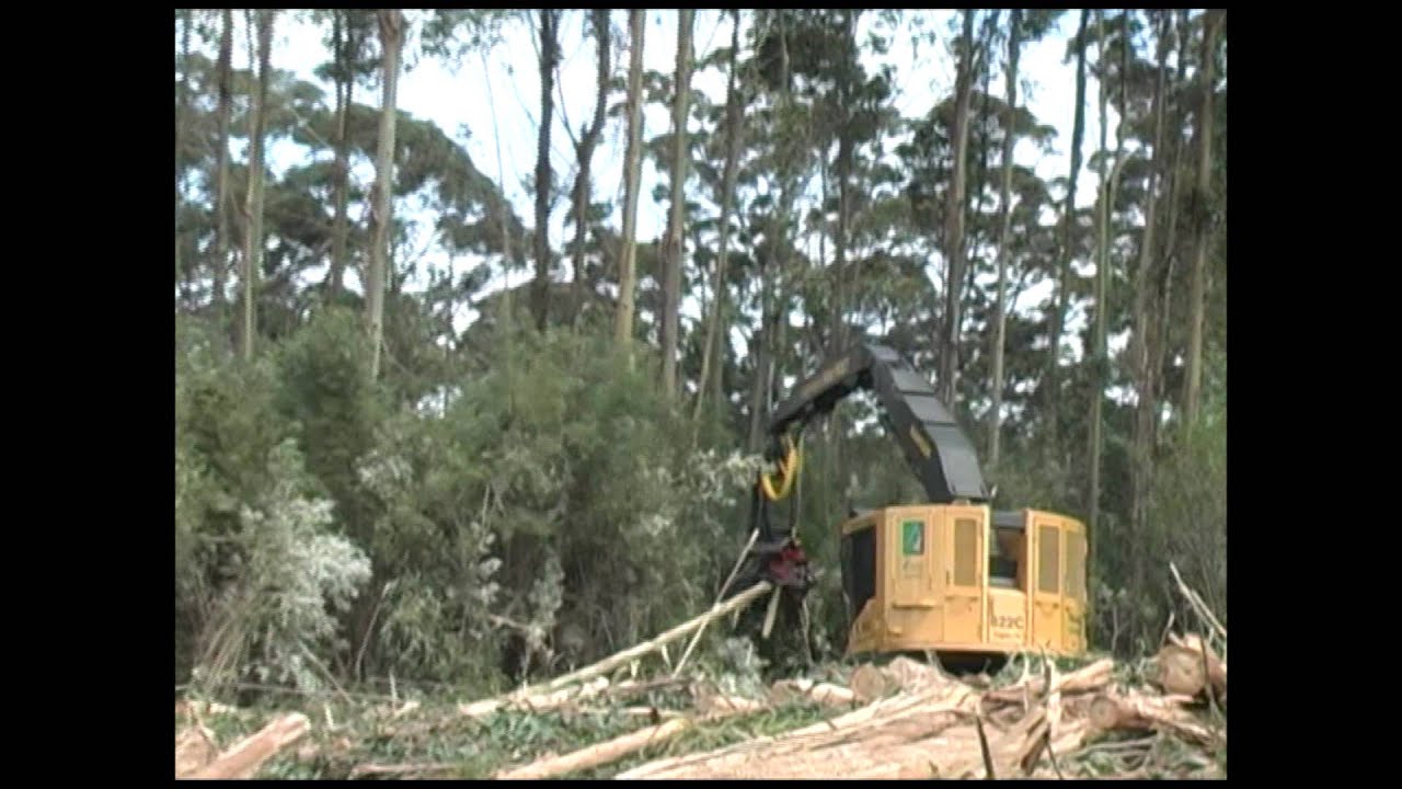 Southern Hemisphere harvesting systems - 2011 update