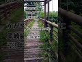 かがやける愛の日に 尾崎紀世彦  #てん散歩 #歌謡曲 #music  #japan