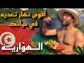 أقوى نهارين تعيشهم في حياتك فالهوارية 