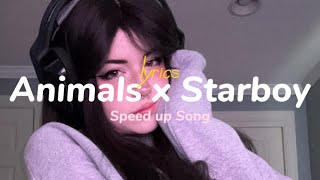 Animals x Starboy (lyrics) (speedup) (tiktok remix)