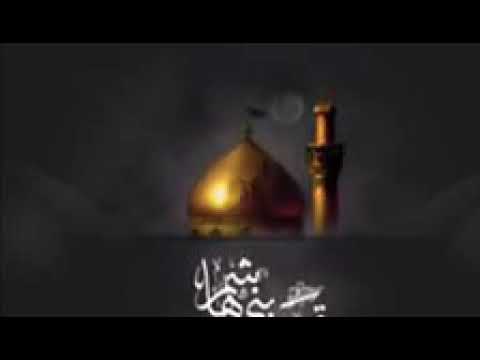 دخيلك يا أبا الفضل خذني وياكم أداء علي كفل