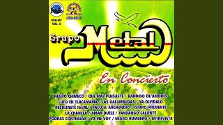 Video thumbnail of "Grupo Metal - Amar Duele (En Vivo)"