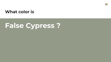 False Cypress color #939b88 hex color - Green color - Cool color 939b88