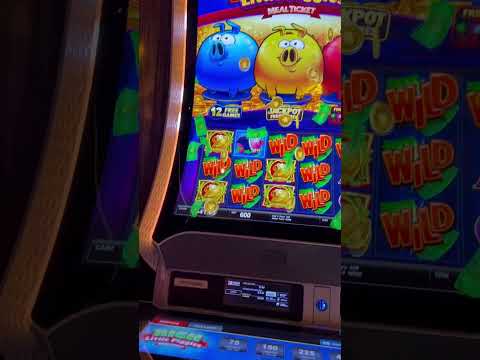 Awesome line hit on Rich Little Piggies at MGM Springfield! $600! #casino #mgmspringfield #win
