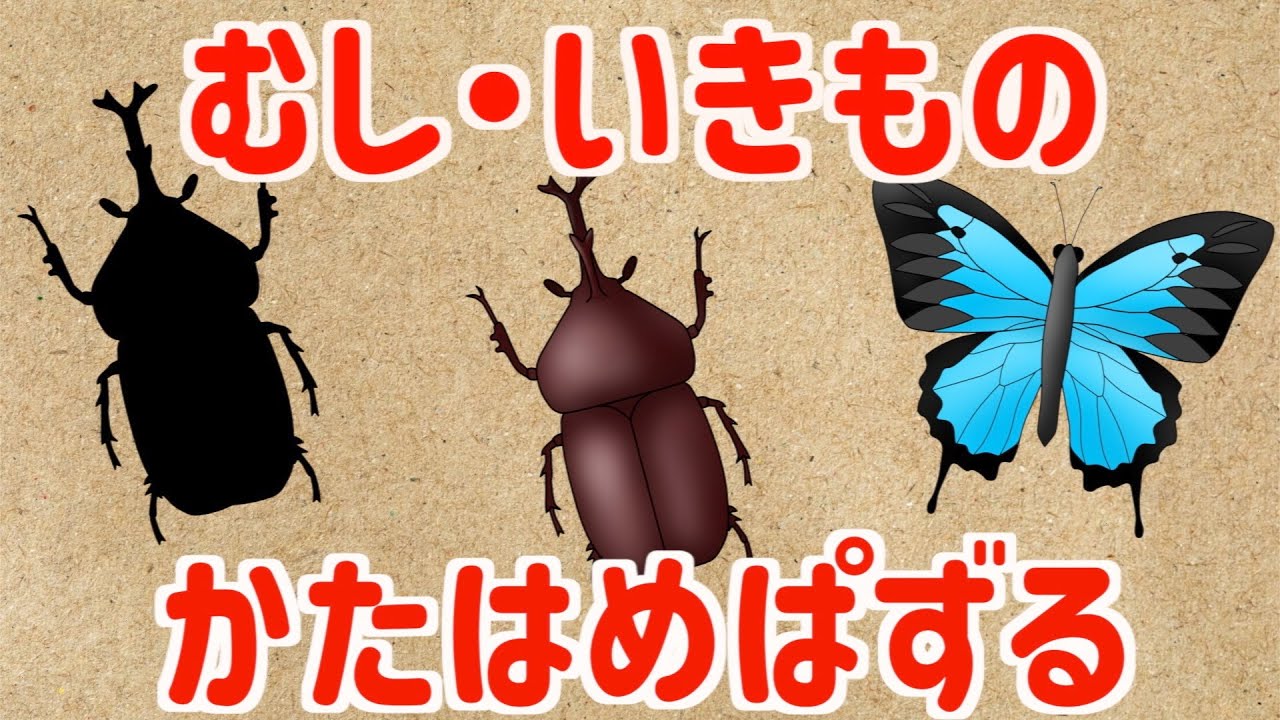 【子供向け 昆虫図鑑】むしさんや生き物のなまえを覚えよう！かたはめぱずるで楽しく覚える！赤ちゃんが喜ぶ、泣き止む hide and seek ...