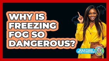 Why Is Freezing Fog So Dangerous? - Weather Watchdog