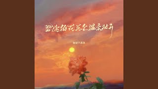 沿途的花总会温柔的开