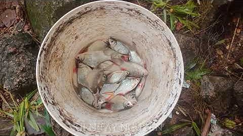 Quăng chài ở thủy điện || Kiên tây nguyên