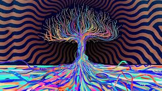 My Brain is Clouded : Sara Pratt : MDMA & LSD