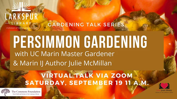Garden Talk: Persimmon Gardening with UC Marin Mas...
