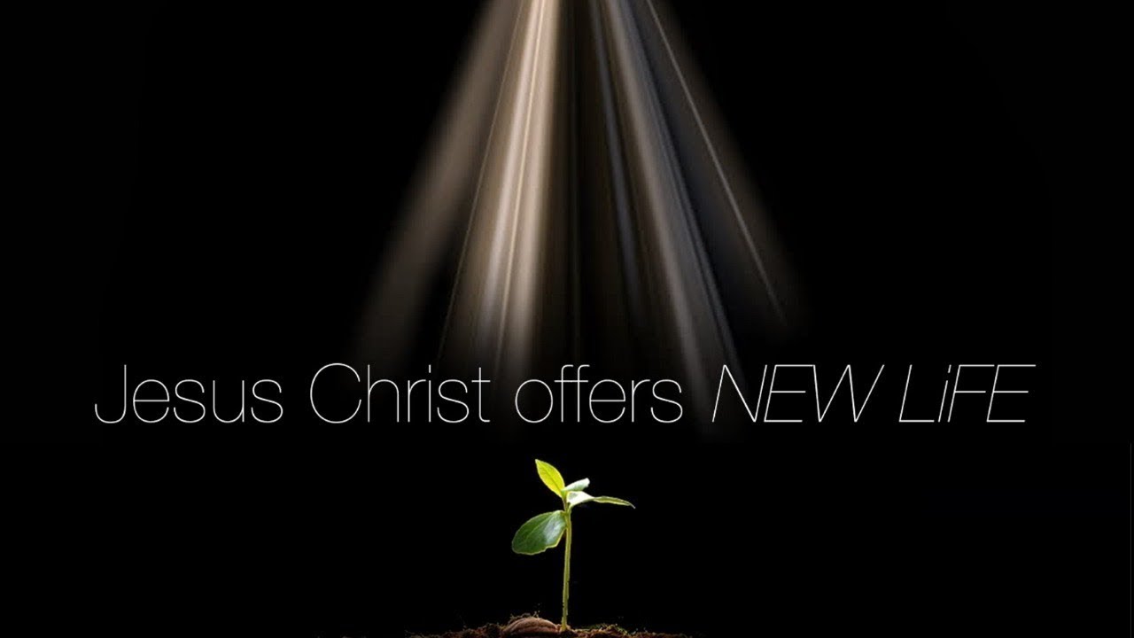 NEW LiFE Live | Resurrection Day | Pastor Bogdan Malsky / Богдан Мальський