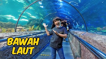 WOW!! Aquarium Raksasa Bawah Laut di Seaworld Ancol | Superduper Ziyan