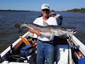 VOLVIÓ LA PESCA!!! En Tucumán pejes y Corrientes, surubíes!! EL PATO TV 936