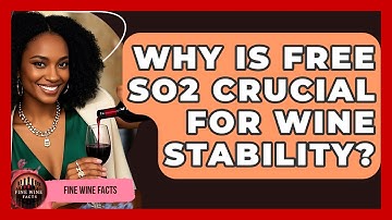 Why Is Free SO2 Crucial For Wine Stability? - Fine Wine Facts