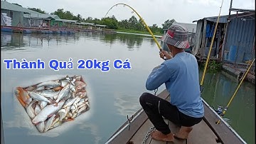 Câu Cá Trên Bè, Trúng Ổ Cá Cóc, Cá Dãnh Ăn Dựt Không Kịp Móc Mồi @trandaifishing
