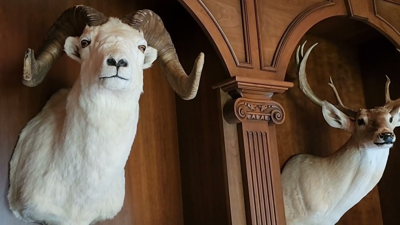 The Office - J Alain Smith's Trophy Room Treasures