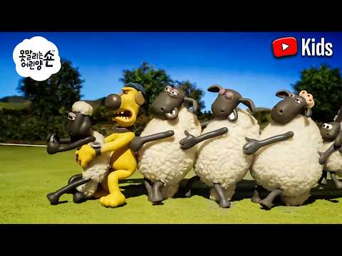 양들의 신나는 장난! 🐑 | 숀 더쉽 (어린이 친화적 시리즈 - 숀 더쇼위츠)