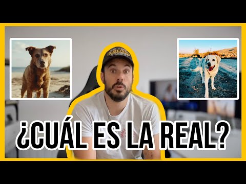 DALL-E VS Midjourney VS Stable Diffusion - ¿CÓMO FUNCIONAN?