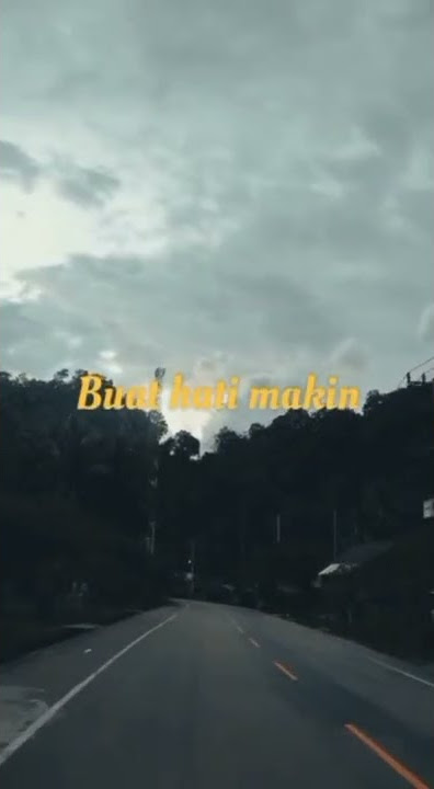 Background video sunset | pemandangan Indah | senja