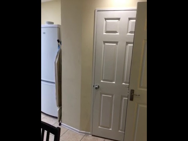 Video 1: The front in Wedgewood blue