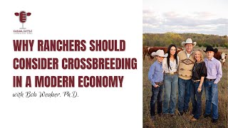 Why Crossbreeding Can Help Ranchers Tap Into Higher Profits
