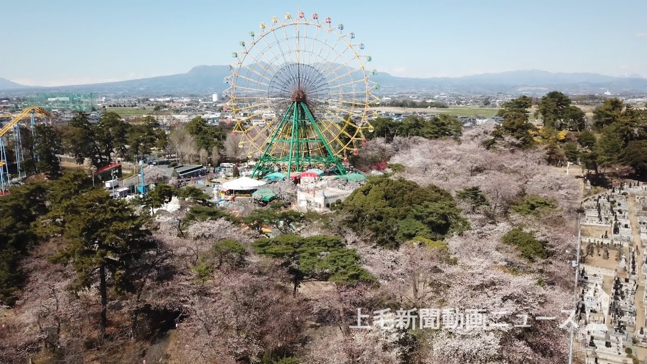 桜特集19 伊勢崎 華蔵寺公園 1000本が満開 中旬にはツツジも ドローン空撮 Youtube