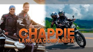 Volvió Triumph A Colombia By Cami Lopez