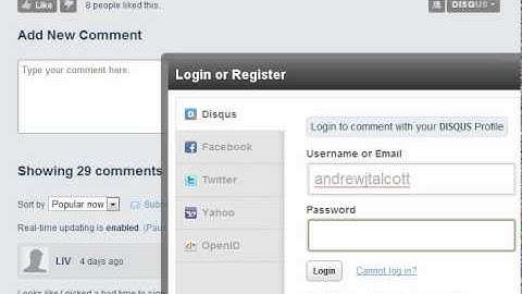Disqus Commenting System Overview