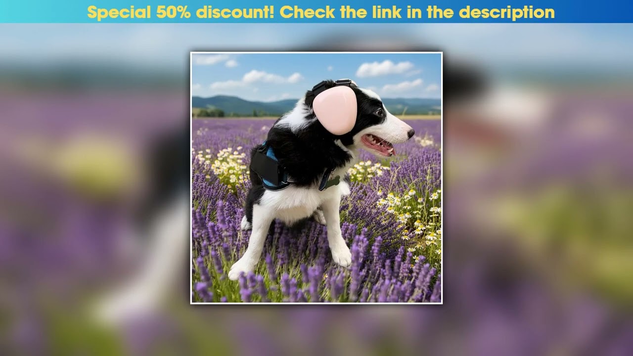 Exclusive Noise Protection Dog Ear Muffs Hearing Protection 29dB NRR Pet Earmuff Universal Comforta