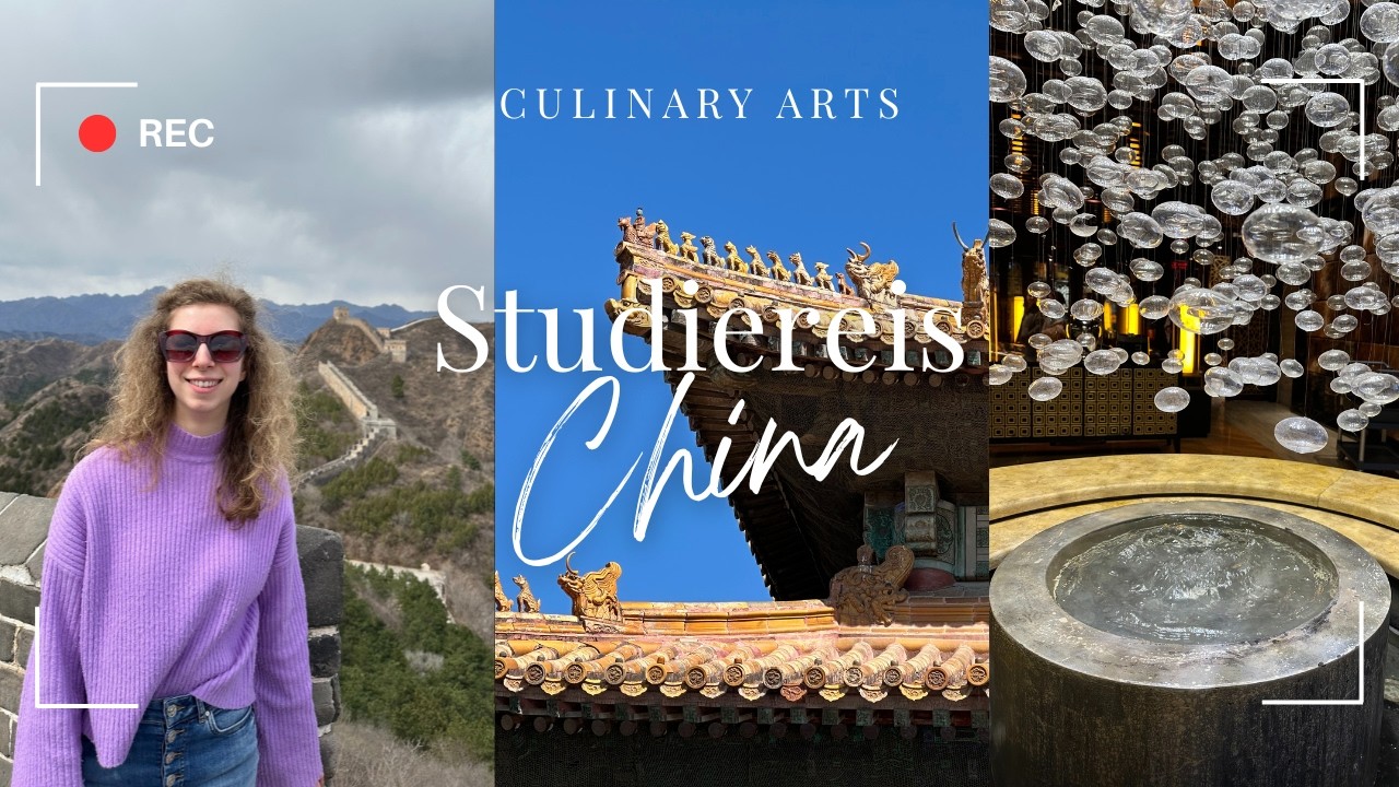 🇨🇳 Mijn studiereis door China | Chinese muur, theeceremonie & Forbidden City