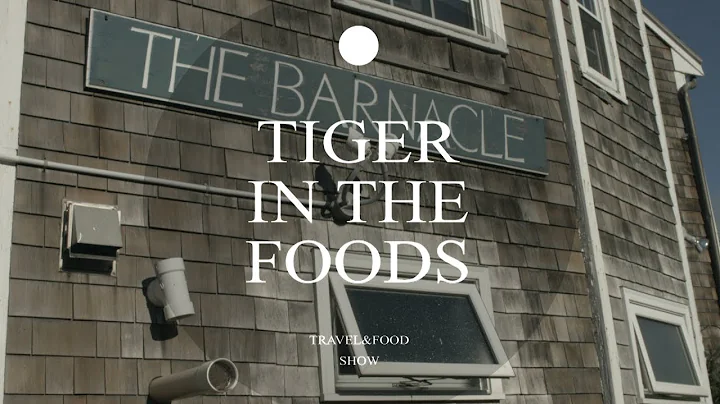 Tiger in the foods. The Barnacle. Marblehead.