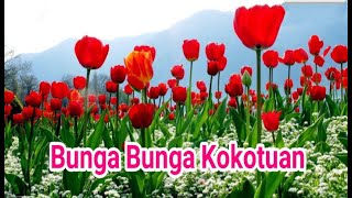 Francis landong - Bunga bunga kokotuan Karaoke