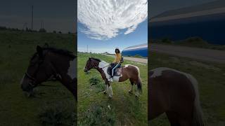 Богатырский конь. Можно ли ездить верхом если ты 120 кг?