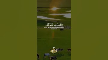 وداوود وسليمان إذ يحكمان في الحرث إذ نفشت فيه غنم القوم = سورة الأنبياء = عبدالباسط عبدالصمد