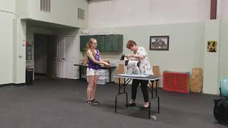 How to Teach a Show Dog to Stack