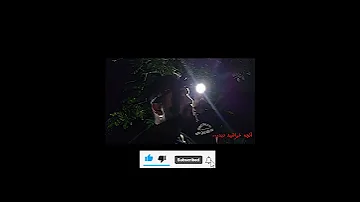 ارتباط گیری ما درجنگلی که در آن دختر به قتل رسیده بود تماشای کامل مستند در کانال Shorts 