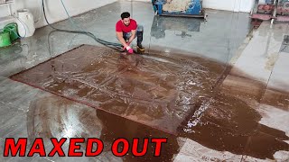 I Find The World's Largest Mystery Rug (500,000) | Mr Carpet