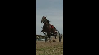 E.LE.D.E. Producciones  presenta: El Monumental Hipodromo Uno