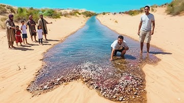 One in a Billion Moments Caught on Camera 🌍 | Unbelievable Rare Events