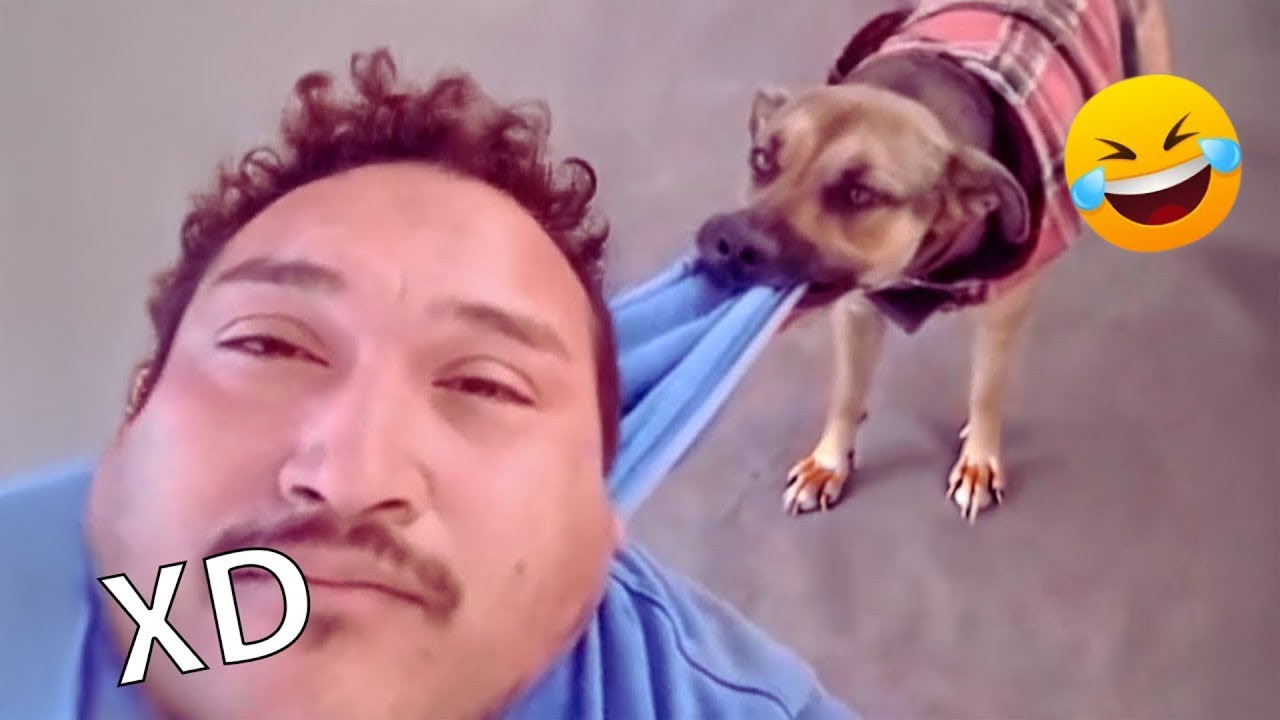 Desafío imposible: ¡Intenta no reír! 😹 – Episodio 5