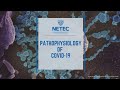 NETEC: Pathophysiology of COVID-19