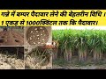 गन्ने की 1000 क्विंटल प्रति एकड़ पैदावार लेने की तकनीक || Ring pit Technique