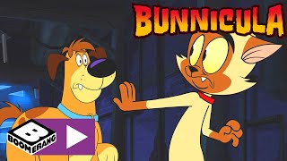 Download Lagu Bunnicula | Monsterfeest | Cartoonito MP3