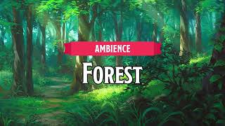 Forest | D&D/TTRPG Ambience | 1 Hour