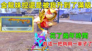 In just a few years, Jinlong's sister complex has reached level 8. This gun skin should last unti... screenshot 4