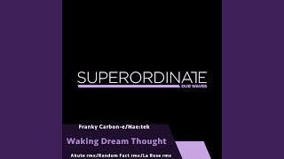 Waking Dream Thought (Random Fact Rmx)