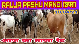 Rauja Pashu Mandi Chapra ll घेघटा पशु मेला, छपरा (सारण) ll 8/04/2021