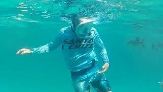 Chris's snorkel at Mandy's Eel Garden, West Bay, Roatan, Honduras