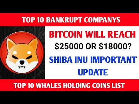 shiba-inu-important-launch-update-|-bitcoin-will-reach-$25000-or-$18000?-|-whale-top-10-holdings