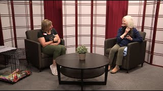 InSight - Oregon Humane Society - From Shelter to Loving Home